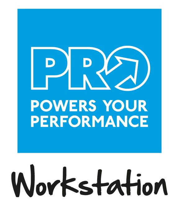 PRO Workstation Logo HP