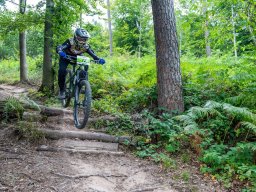 20250719_12_12_14_trailsurfer_dsc_4059