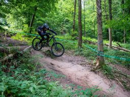 20250719_12_24_26_trailsurfer_dsc_4154
