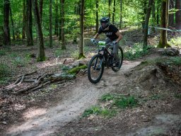 20250719_12_34_23_trailsurfer_dsc_4210