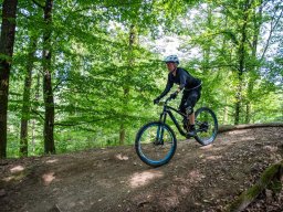 20250719_12_39_06_trailsurfer_dsc_4229