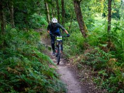 20250719_13_21_59_trailsurfer_dsc_4479