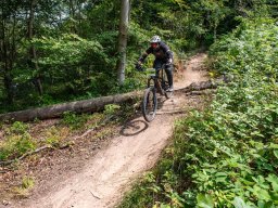 20250719_13_42_01_trailsurfer_dsc_4599