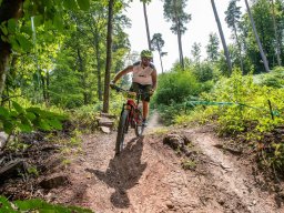20250719_13_48_01_trailsurfer_dsc_4648