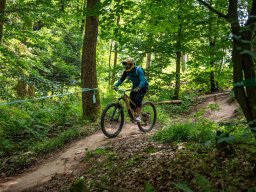 20250719_13_50_20_trailsurfer_dsc_4658